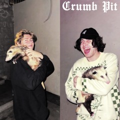 Levity - Front To Back (Crumb Pit Flip)