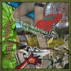 1. Pesto's World (Benvenuti Stronzi)