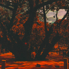 Soundztek, Abraão Lincon - Echoes of Tomorrow