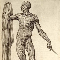 Post mortem