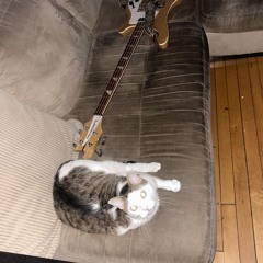 Married With Children (Oasis Cover)