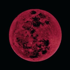 everything:insane (prod. @gelato)