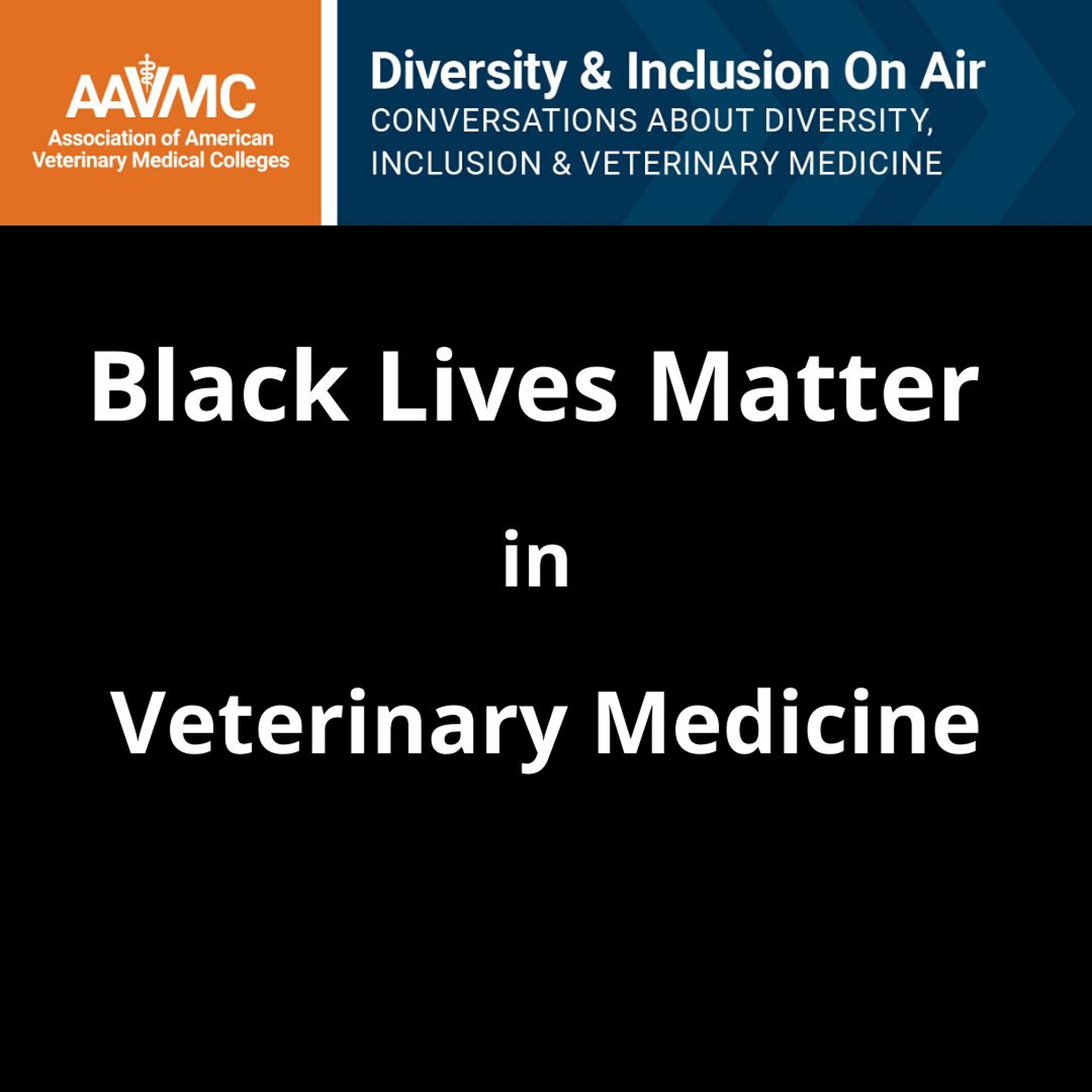 AAVMC\'s On Air: Conversations about Issues in Veterinary Medicine