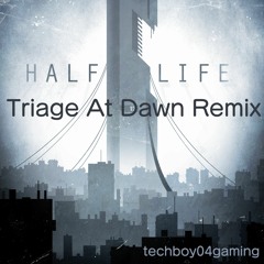 Triage At Down Remix - Half Life 2