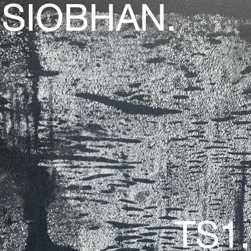 TS1.