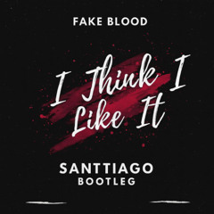 Fake Blood - I Think i Like it (Santtiago Bootleg)