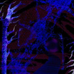 𝑦⃪𝑜⃪𝑢⃪𝑎⃪𝑟⃪𝑒⃪𝑚⃪𝑦⃪𝑜⃪𝑛⃪𝑙⃪𝑦⃪
