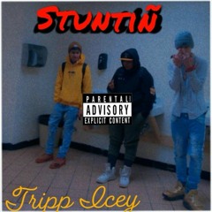StuntiÑ Official Audio