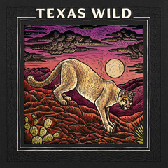 True Love Will Find You in the End (feat. Jess Williamson)