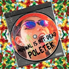 Goffy house - Poletek