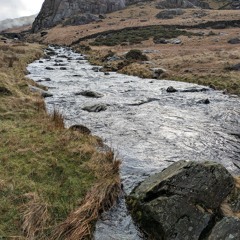 Wet in Wales - Someday we'll evaporate together (2025)