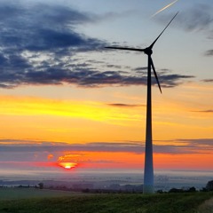 Scheppern 24' - All Acts