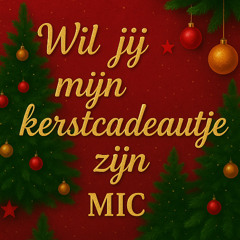 Wil jij mijn kerstcadeautje zijn onder de boom