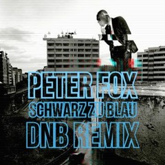 PETER FOX - SCHWARZ ZU BLAU (SHIFTY's DnB REMIX)