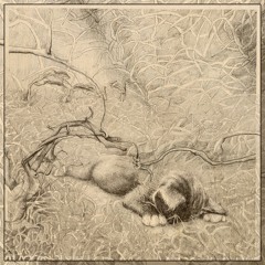 Ur My Only Call ₊˚ෆ {Acoustic Version}