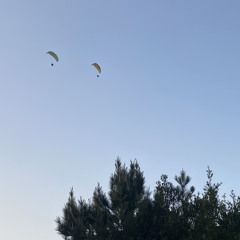 Faygo/$limboy & Twizy.wav