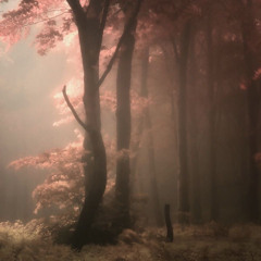 Are You There (p.novachance)