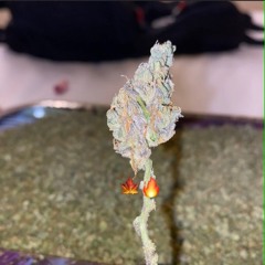 Fire in the Smoke 🔥🍃💨