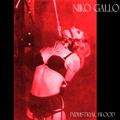 NIKØ GALLØ - INDUSTRIAL BLOOD [FREE DL]