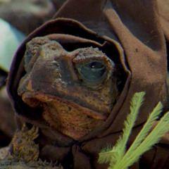 frog diplomacy