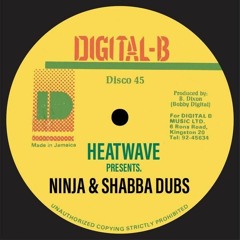 CLASSIC! HEATWAVE PRESENTS: JUST SHABBA & NINJAMAN DUBS 1990 - TRIBUTE TO BOBBY DIGITAL