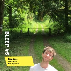 Bleep 5 - Ganders