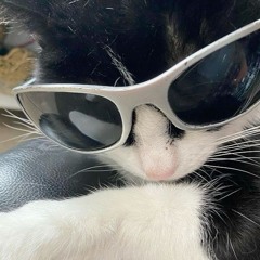 6.22.24 Strictly Swangin Set @ Owl Lounge