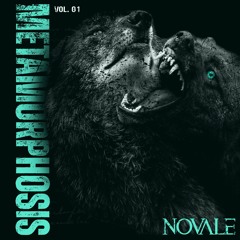 Metamorphosis Vol 1
