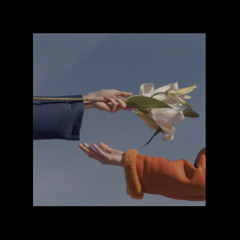 KNIGHTED001