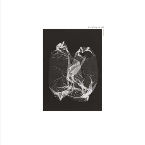 STEVE FORS - ground glass
