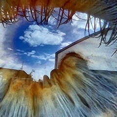 Frisch Aus Der Buxe 02