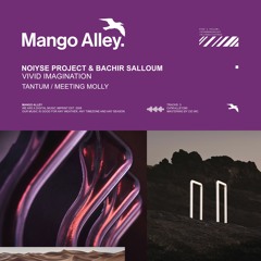 Premiere: Bachir Salloum, NOIYSE PROJECT - Vivid Imagination (Tantum Remix) [Mango Alley]