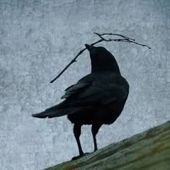 bean and tfdre - waiting for