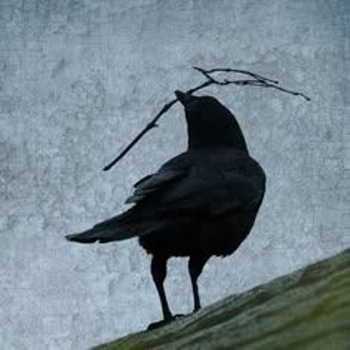 bean and tfdre - waiting for