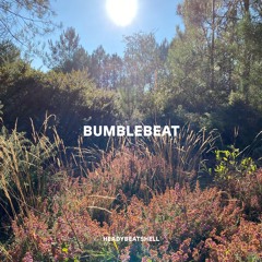BumbleBeat_PreMix_25 08 24