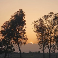 Pregda Che Lauzuna_Wajid_Layaq_Obaid_Khan_Music___Acoustic_Version___Live_Jamming(128k).mp3