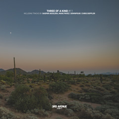 Gaspar Aguilera, Manu Pavez - Watching the Waves [3rd Avenue]