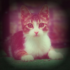 OhExWhy (prod. dragnways I)