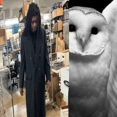 fendi prod me