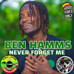 BEN HAMMS - Never Forget Me / TruMon Dubplate