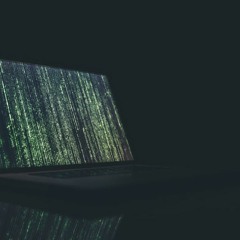 A Lone Hacker