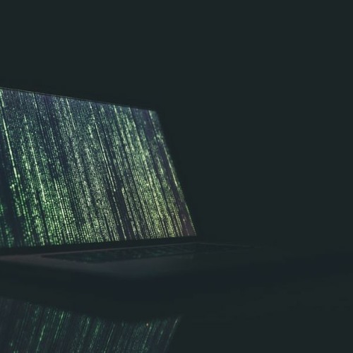 A Lone Hacker