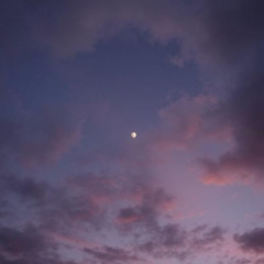 Static Dreamscape Miasma