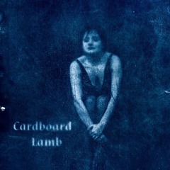 Cardboard Lamb - Paviljoen Listening Session - 23rd June 2024