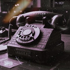 Cellular (ft. BLY)