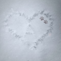 valentines day24 w/ decago + mamoru + 1mint + bxxngan + ikari + meta