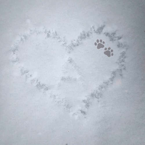 valentines day24 w/ decago + mamoru + 1mint + bxxngan + ikari + meta