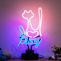 I Love DaT PussY!! - Snowflake (Prod By Chili)