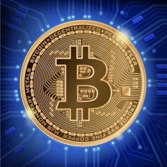 Bitcoin - La solution à la crise (résumé de L'étalon bitcoin)