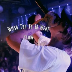 T - Low - Wieso Tut Es So Weh (unreleased)